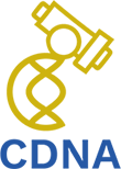 C-DNA